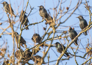 Photo taken by Andrew Fusek Peters, pro wildlife photographer