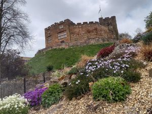 Supporting image for story: Environmental arts festival to entertain crowds in Tamworth 