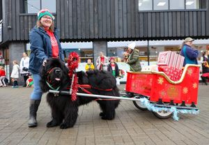 Becky Thorton with her dog Ivor during Annual Christmas dog parade at The Valley Shopping Centre Eveham. Annual Christmas dog parade at The Valley Eveham. Hundreds of owners attend with their dogs. Prizes are awarded for the best dressed dogs with bonus points if owners embrace the festive spirit and get into fancy dress. Hundreds of dogs and their owners donned festive costumes for an annual Christmas parade. The Christmas Dog Parade with around 300 canines took place in the shopping mall at The Valley, Evesham, Worcestershire. Phil Maclean, the venue's retail director, said: "It's one of our favourite events of the year, full of festive fun and wagging tails''.  