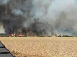 Supporting image for story: Three large grain fields destroyed in major High Ercall field fire