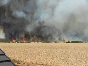 Supporting image for story: Three large grain fields destroyed in major High Ercall field fire
