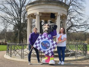 Supporting image for story: Charity calls on businesses to support Krazy Races event