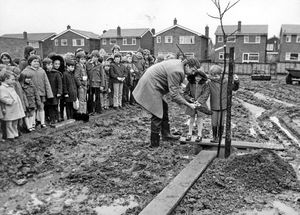 March 14, 1975. Chairman of the school managers Mr John Schoffield assists Tina Burn and Jonathon Ball plant their tree at St Andrew's C of E School at Weston, near Stafford, as part of National Tree Week