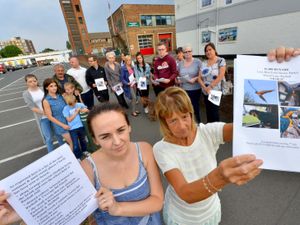 Supporting image for story: Search goes on for missing macaw thanks to support