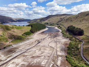 Supporting image for story: UK has warmest spring on record and driest in 50 years as climate change bites