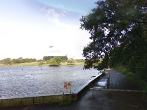 Supporting image for story: Pensioner feared for her life after being thrown into pool while walking through park