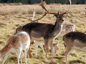 Supporting image for story: Phil Gillam: Spoiled for choice in stunning Shropshire