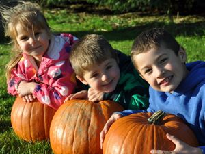 Supporting image for story: Halloween fun returns with Pumpkinfest