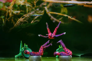 Cirque du Soleil OVO. Pictures by: Chris Bowley