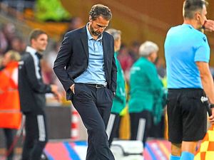 Supporting image for story: Penalty drama to Molineux humbling: Gareth Southgate's England highs and lows