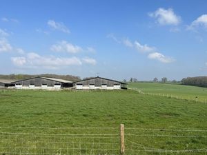 Supporting image for story: Milking parlour plans submitted to avoid 'catastrophic breakdown'