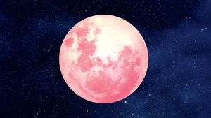 Digitally created image of a pink Moon, against a night sky backdrop.
