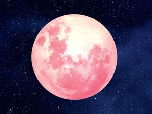 Supporting image for story: Strawberry Moon: When to see the Strawberry Moon in the UK? What does Strawberry Moon mean?
