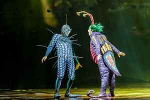 Cirque du Soleil OVO. Pictures by: Chris Bowley
