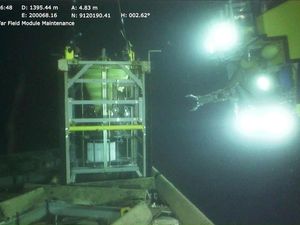 Supporting image for story: Deep-sea fish seasonal migration discovered by scientists