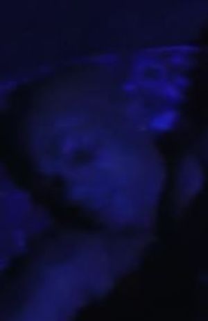 Hacking was arrested while in bed