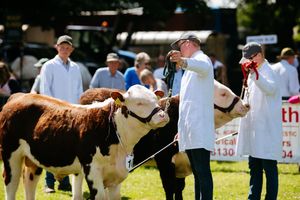 Newport Show at Chetwynd Deer Park