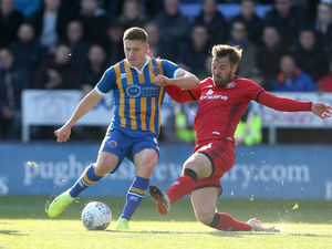 Supporting image for story: Ex-Saddler Scott Laird backs settled Walsall to go well