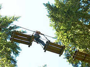 Supporting image for story: Assault course plan for the Chase