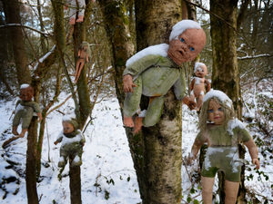 Supporting image for story: Creepy Cannock Chase dolls were removed by police, force confirms