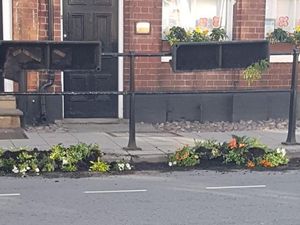Supporting image for story: Fury as Newport floral contest plants are ripped out