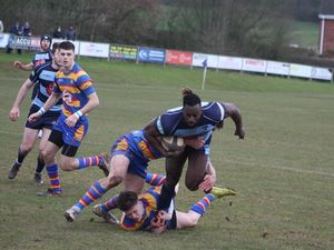 Supporting image for story: Dudley Kingswinford target return to top spot