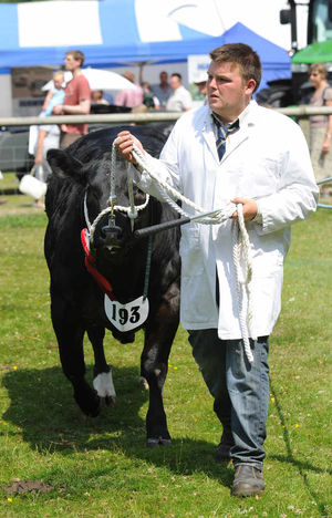 Livestock at the Newport Show