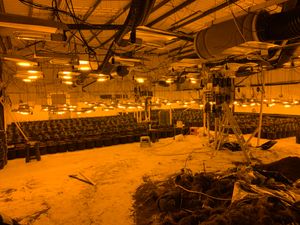 Supporting image for story: Two arrested after cannabis farm with more than 1,000 plants found in Black Country