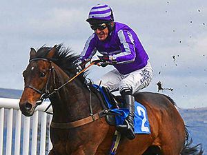 Supporting image for story: Yet another win as AP McCoy farewell tour hits Ludlow