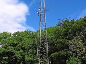 Supporting image for story: 25-metre phone mast planned for cricket club land to solve village’s mobile coverage problems
