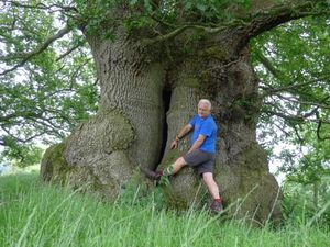 Supporting image for story: Tree Hunter to give Offa's Dyke talk