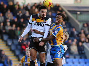 Supporting image for story: Remie Streete not held any talks with Shrewsbury Town