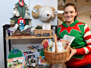Supporting image for story: Sustainability shop offering green Christmas gifts and wrapping