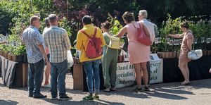Hodnet Hall Gardens Plant Hunters' Fair