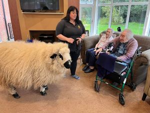 Supporting image for story: Woolly visitor for residents at care home