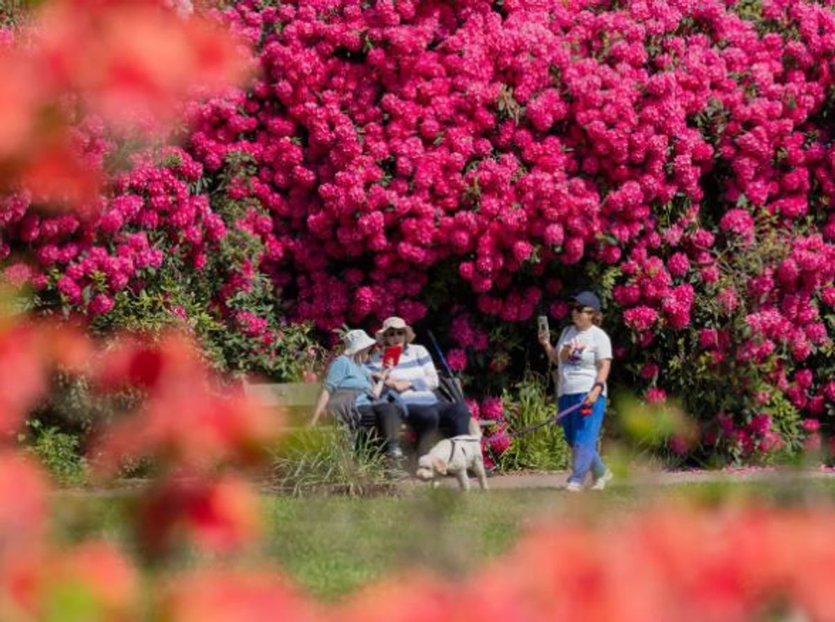 Prepare UK to cope with at least 2C of warming by 2050, Government told