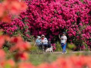 Supporting image for story: Prepare UK to cope with at least 2C of warming by 2050, Government told