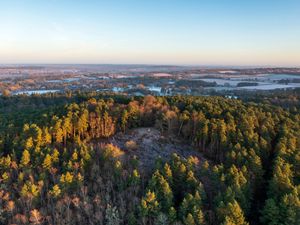 Supporting image for story: Home of ‘Devil’s Punch bowl’ in Surrey declared national nature reserve