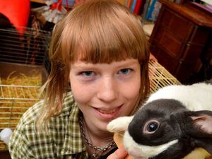 Supporting image for story: Sky's the limit for Telford animal rescue service 