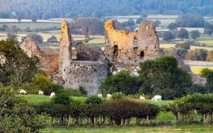 Supporting image for story