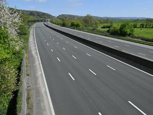 Supporting image for story: Young drivers resort to ‘auto-isolation’ to escape people they live with – poll