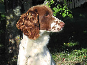 Supporting image for story: Good sense not to put all your eggs in one basket