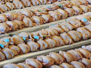 Supporting image for story: Hundreds of objections to Market Drayton poultry units