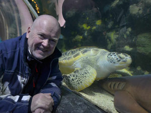 Supporting image for story: Steve McFadden takes break from panto schedule to visit Birmingham's National Sealife Centre