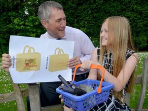 Supporting image for story: Madison bags prize for eye-catching design