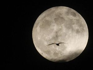 Supporting image for story: 8 different types of moon to celebrate Moon Day