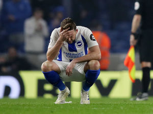 Supporting image for story: Wolves v Brighton: Inside track on the struggling Seagulls