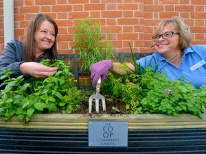 Supporting image for story: Ellesmere residents urged to help themselves to free herbs outside store