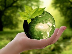 Supporting image for story: Petition urging Shropshire Council to commit to carbon neutrality by 2030