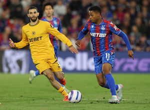 Supporting image for story: Wolves Fans' Verdict v Crystal Palace: A big summer ahead after reality check